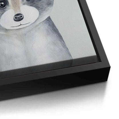 Baby Raccoon - Canvas