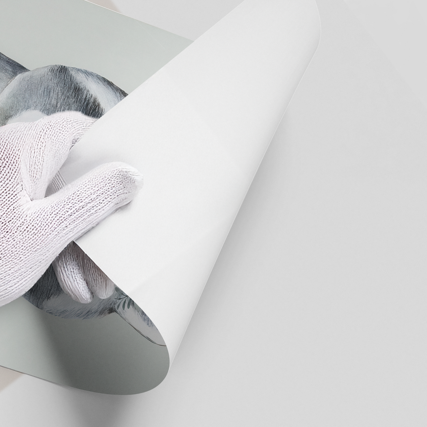 2Baby Raccoon - Poster