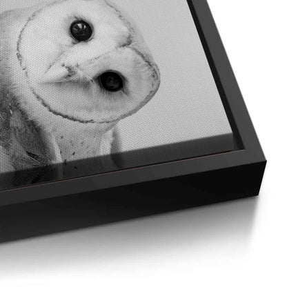 Barn Owl  - Canvas