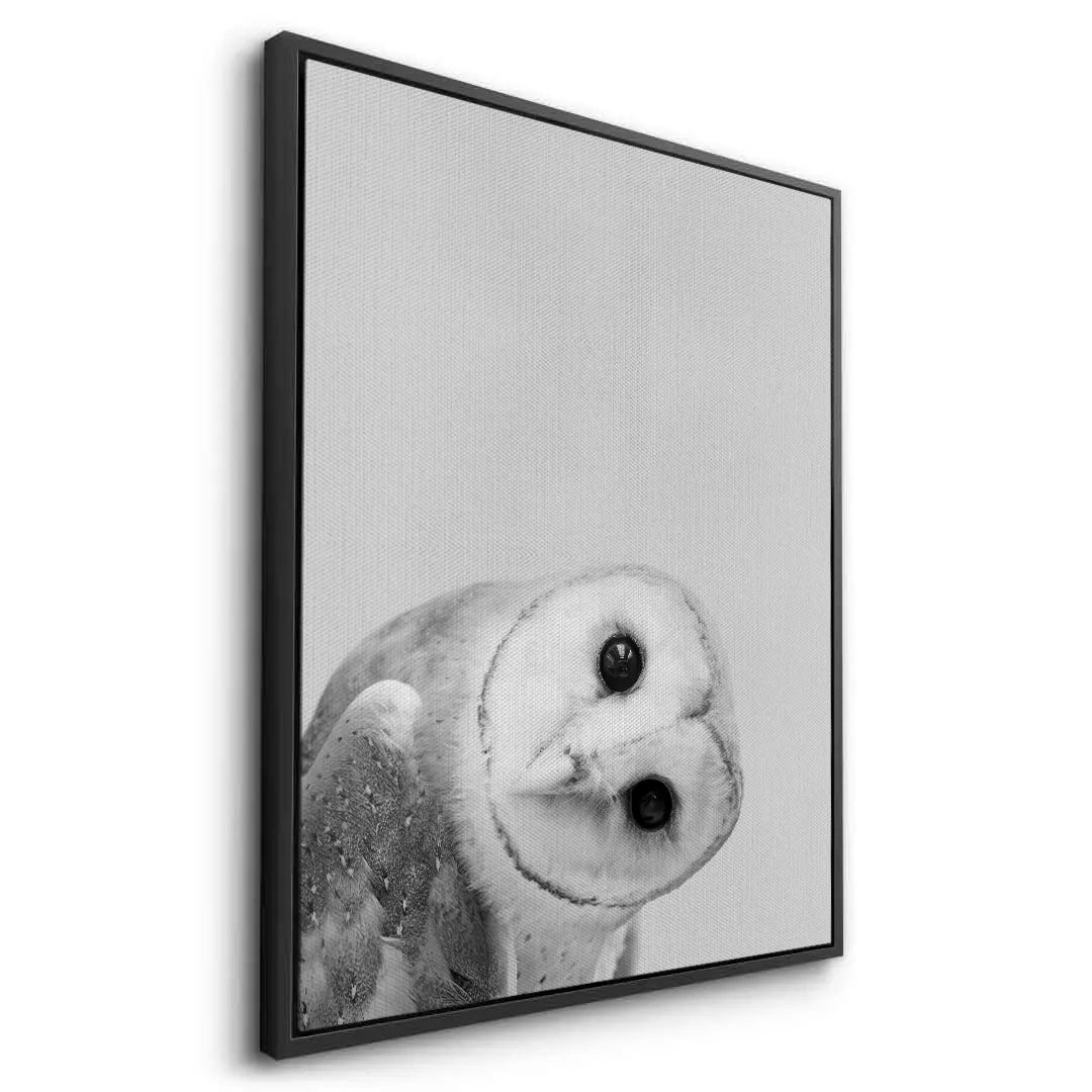 2Barn Owl  - Canvas