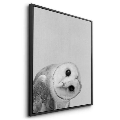 Barn Owl  - Canvas