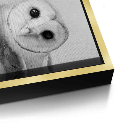 Barn Owl  - Canvas