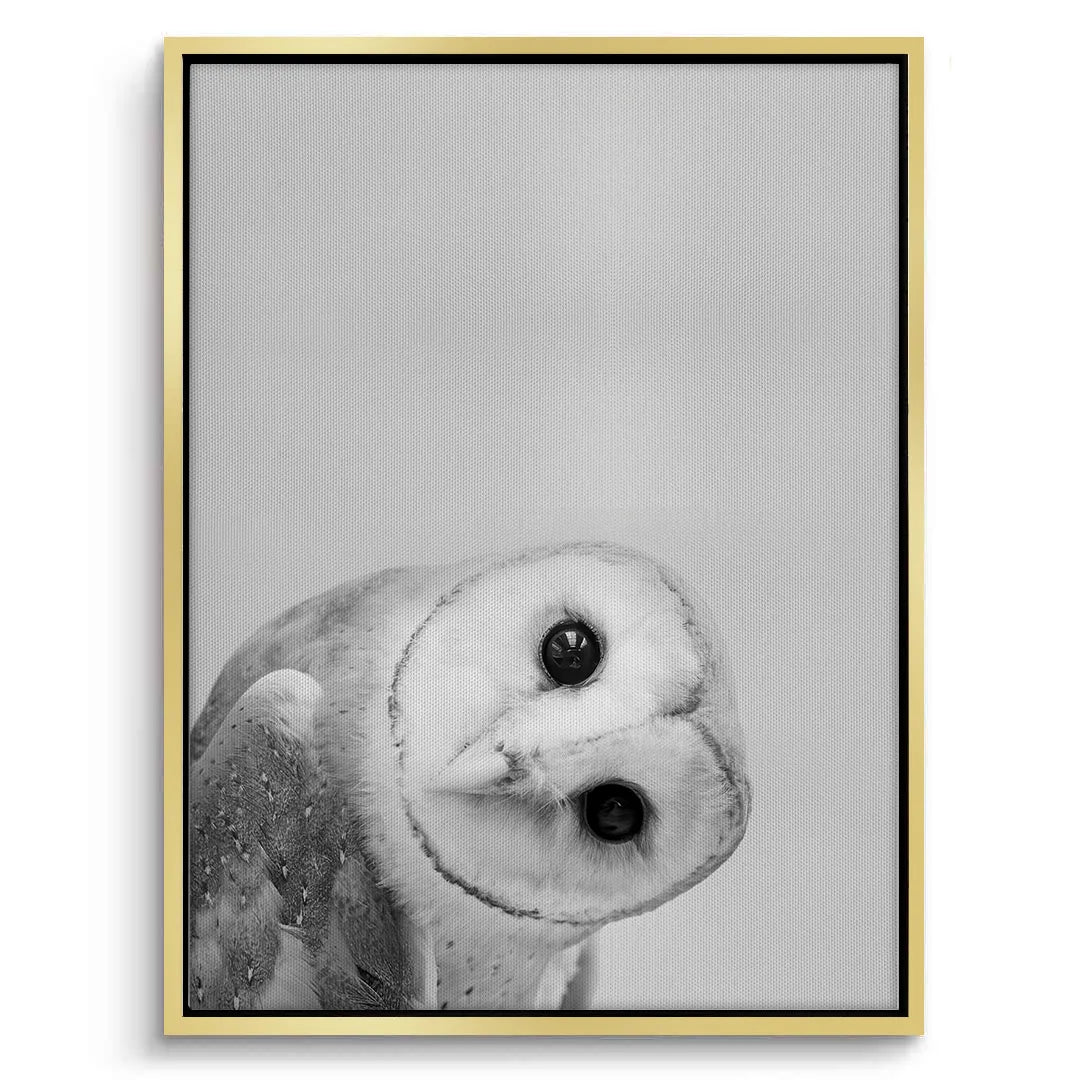 2Barn Owl  - Canvas