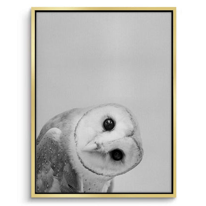 Barn Owl  - Canvas