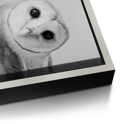 Barn Owl  - Canvas