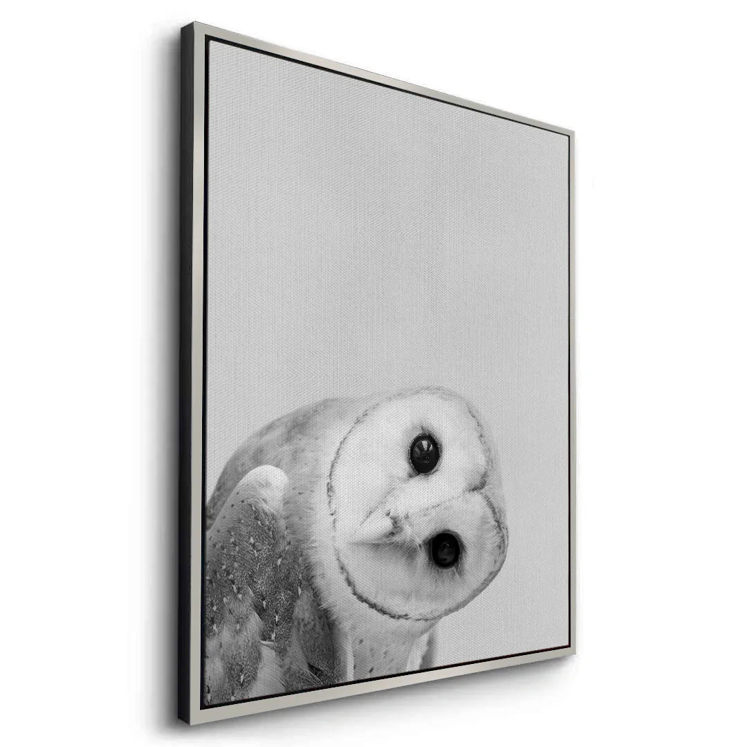 2Barn Owl  - Canvas