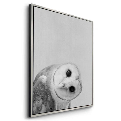 Barn Owl  - Canvas