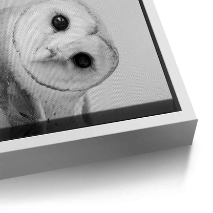 Barn Owl  - Canvas