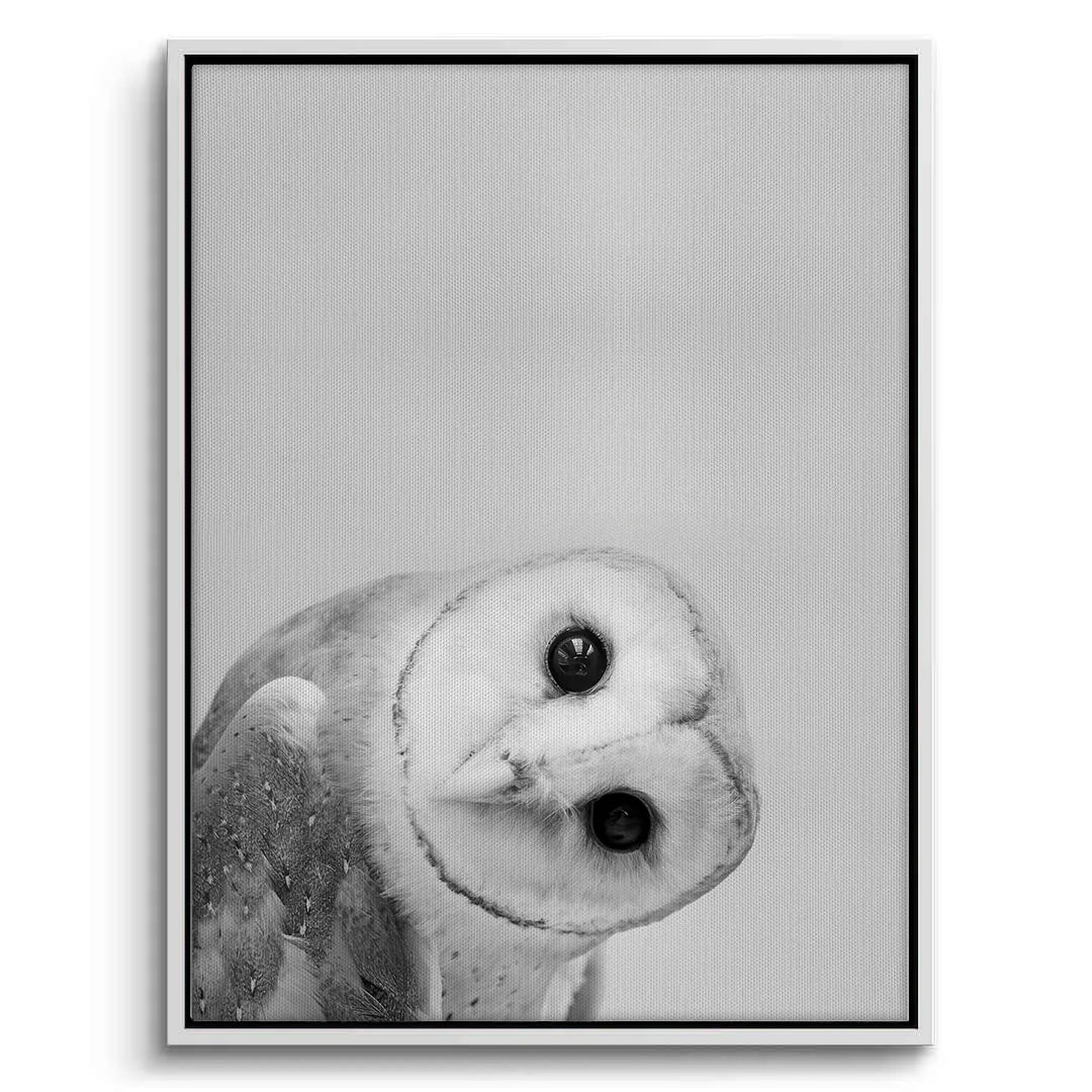 2Barn Owl  - Canvas