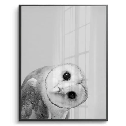 Barn Owl - Fine Art