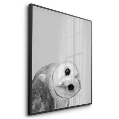 Barn Owl - Fine Art