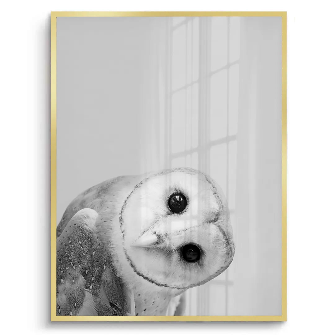 2Barn Owl - Fine Art