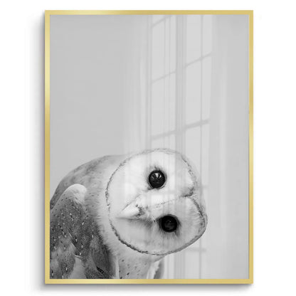 Barn Owl - Fine Art