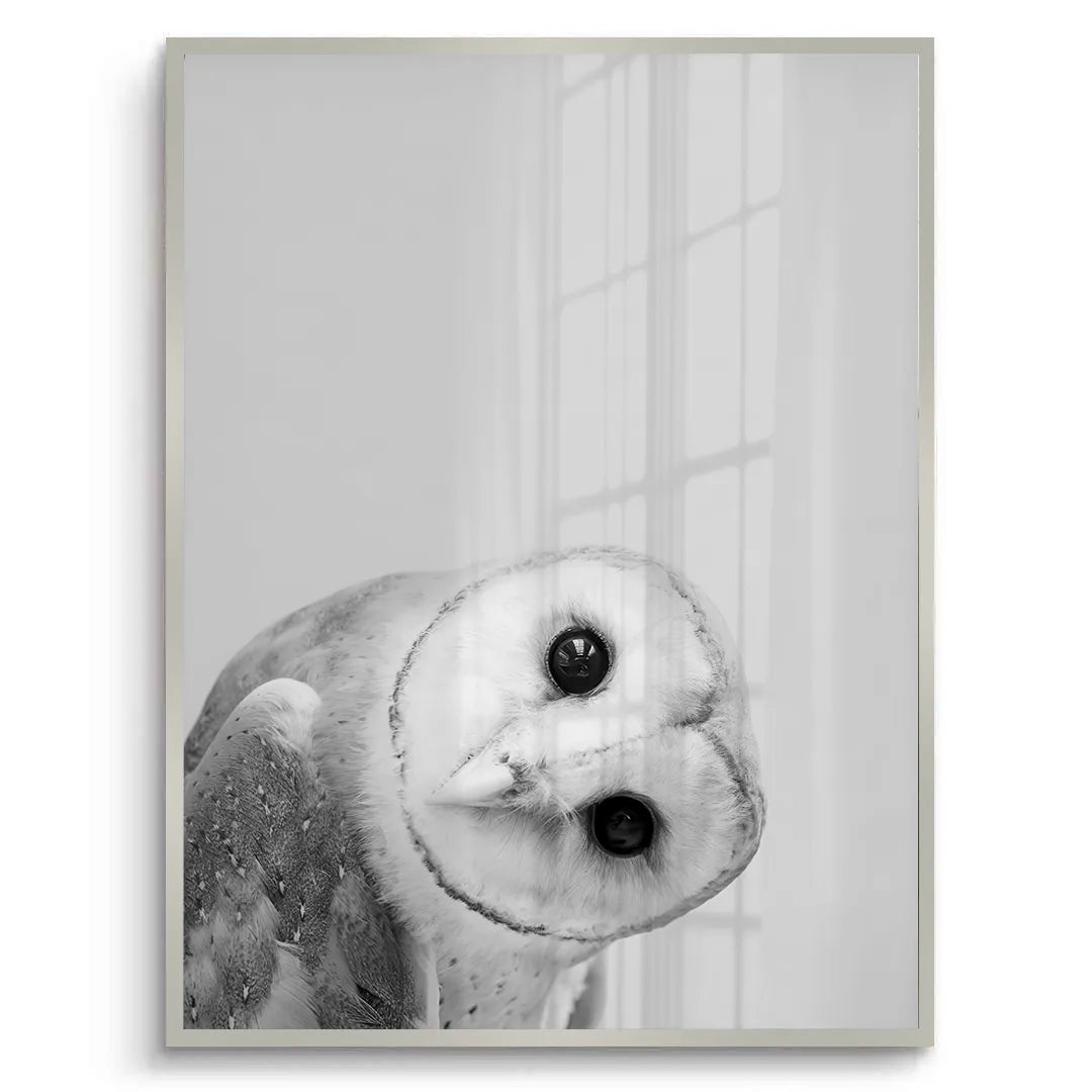 2Barn Owl - Fine Art