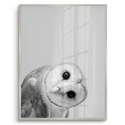 Barn Owl - Fine Art
