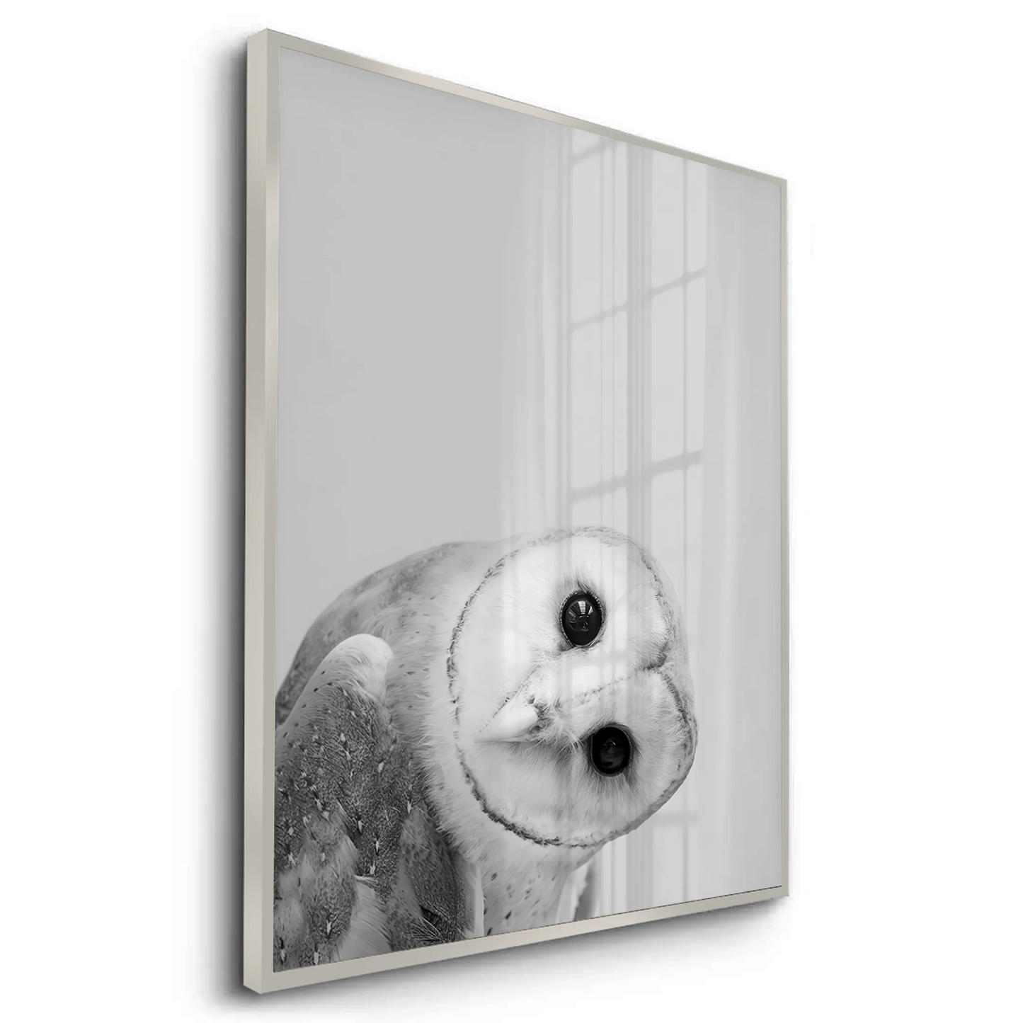 2Barn Owl - Fine Art