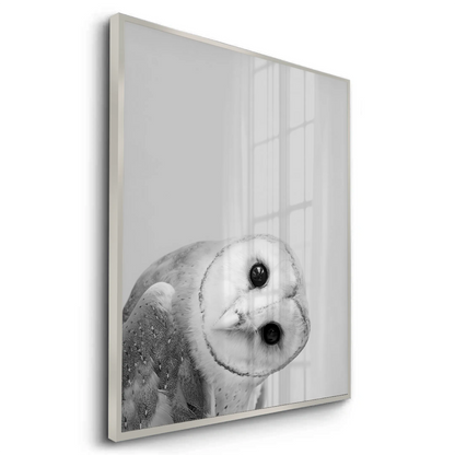 Barn Owl - Fine Art