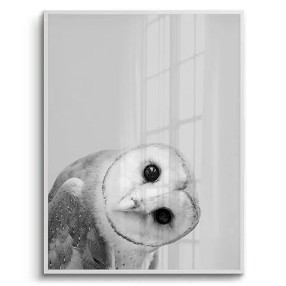 Barn Owl - Fine Art