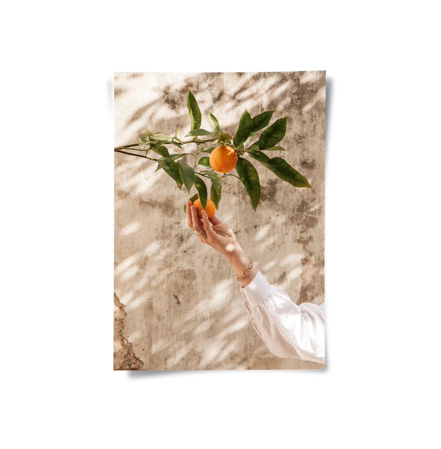 2Boho Citrus Branch - Poster