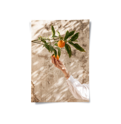Boho Citrus Branch - Poster