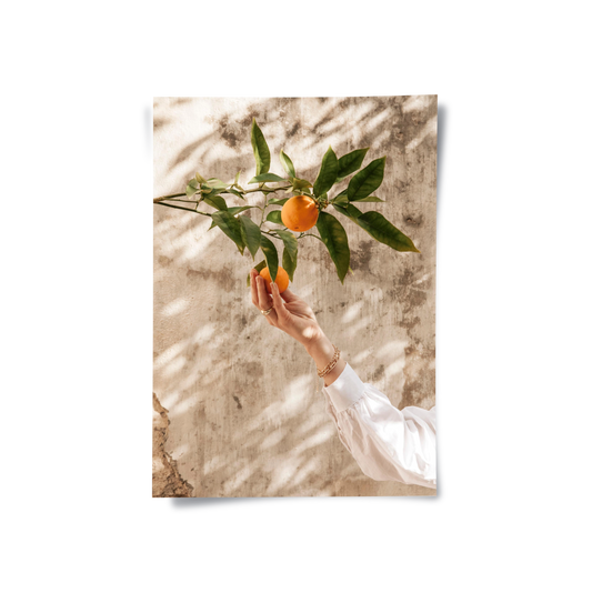 Boho Citrus Branch - Poster