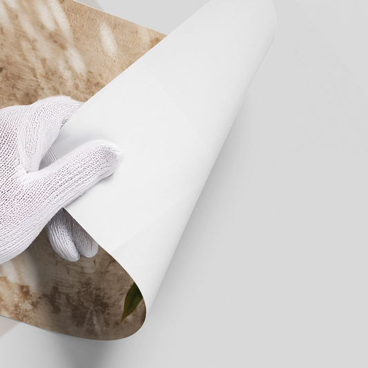 Boho Citrus Branch - Poster