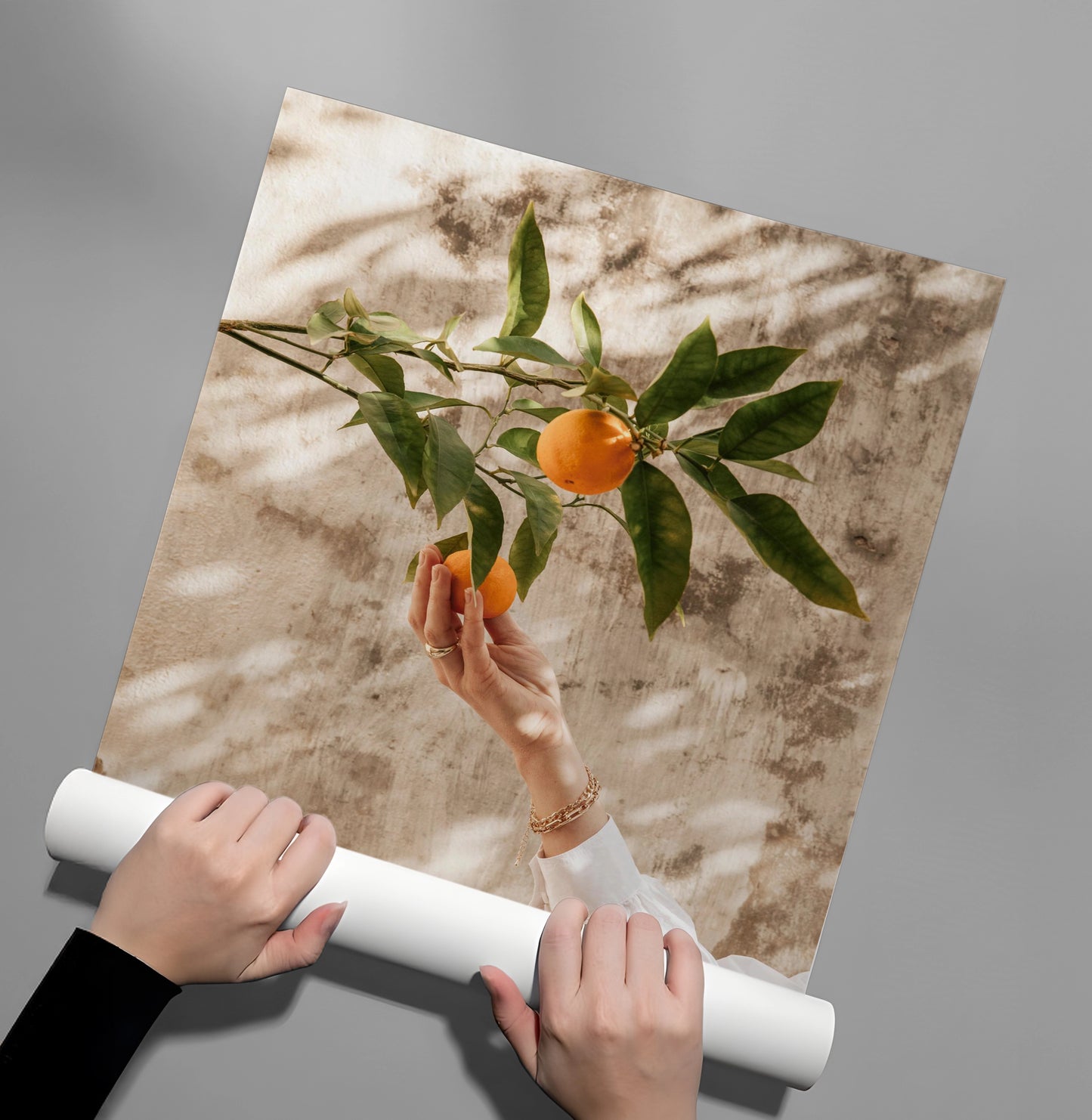 2Boho Citrus Branch - Poster