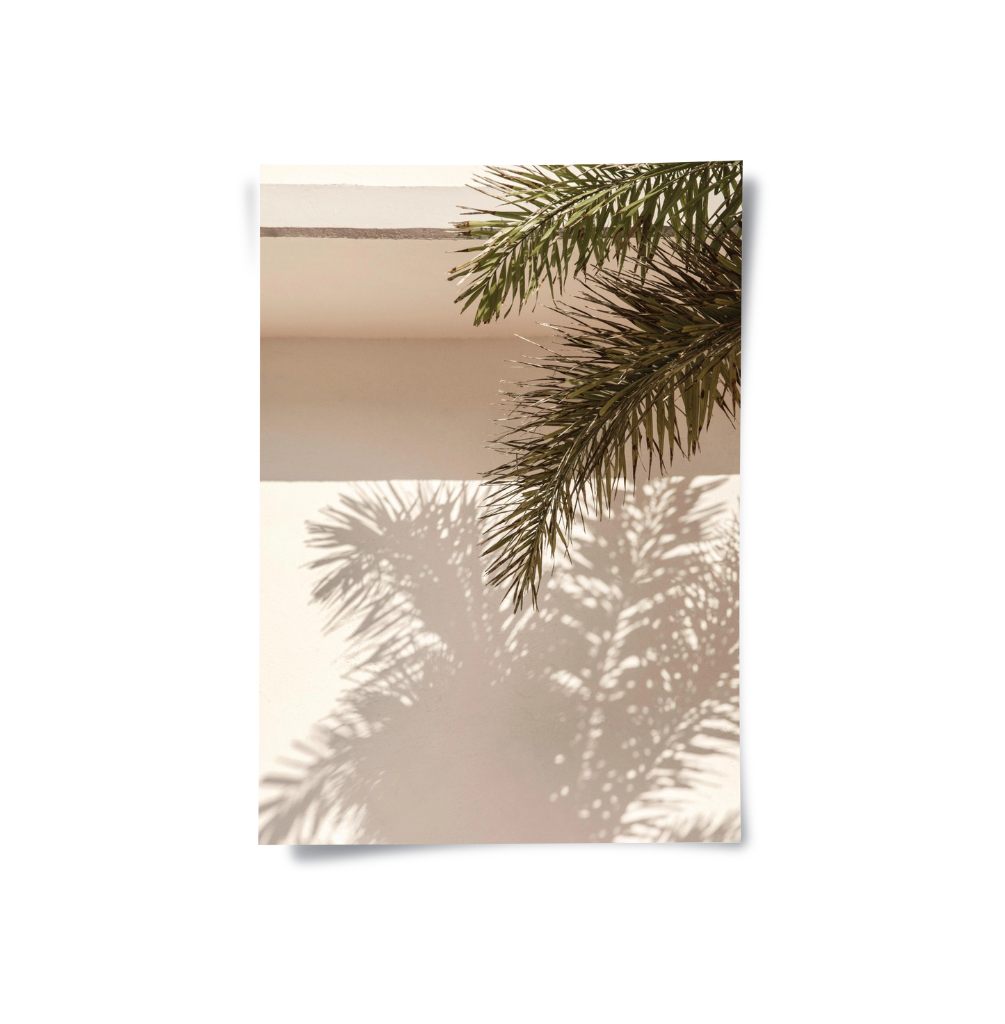 2Boho Desert Chic Palm Leaf - Poster