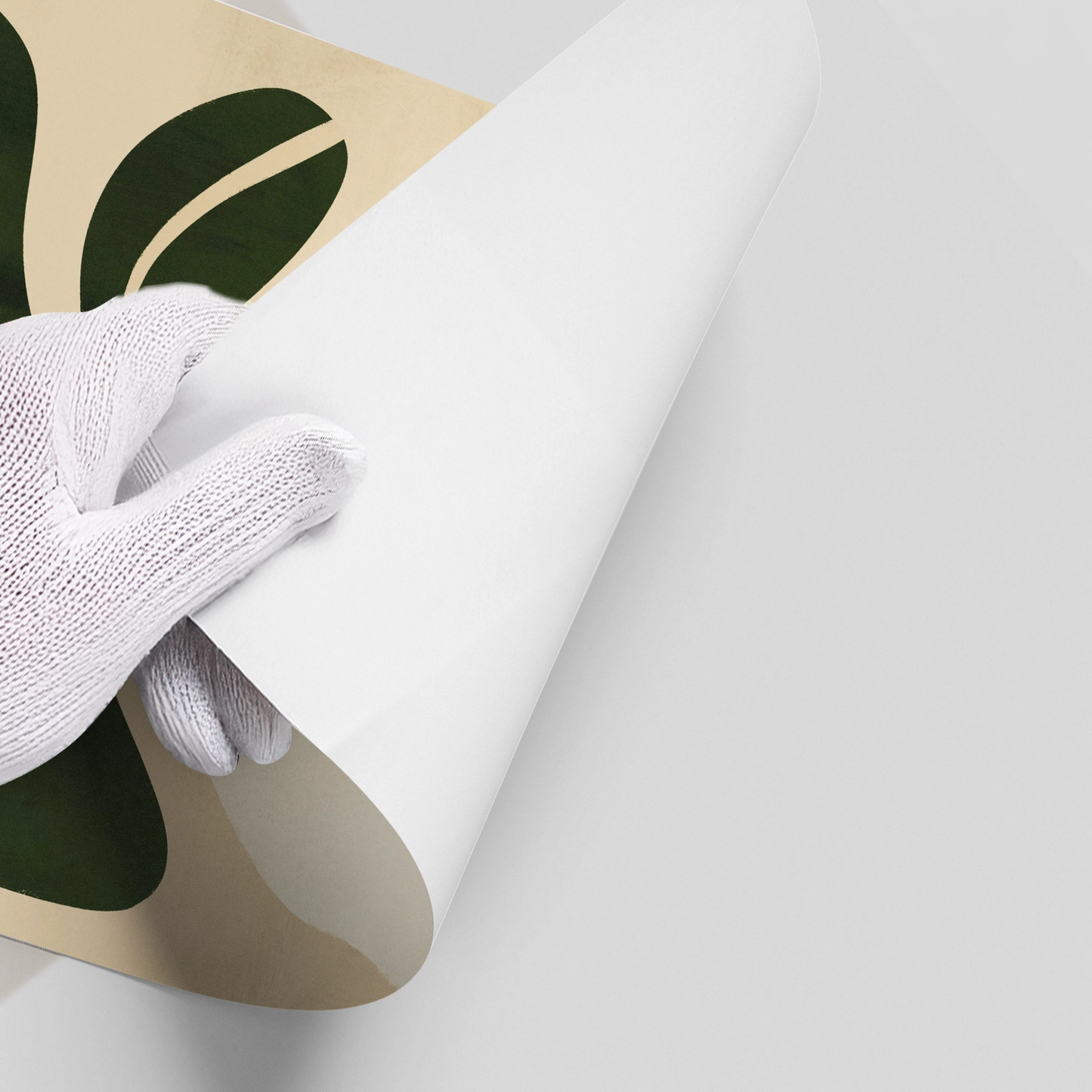 2Boho White Bloom - Poster