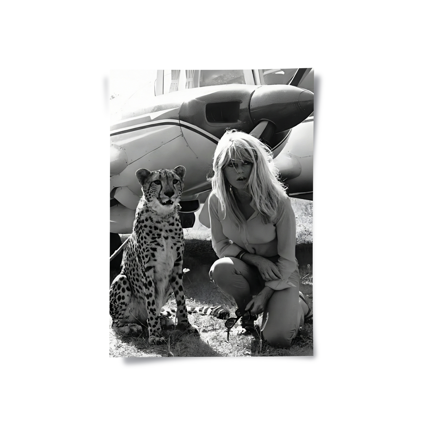 2Brigitte Bardot with Cheetah - Poster