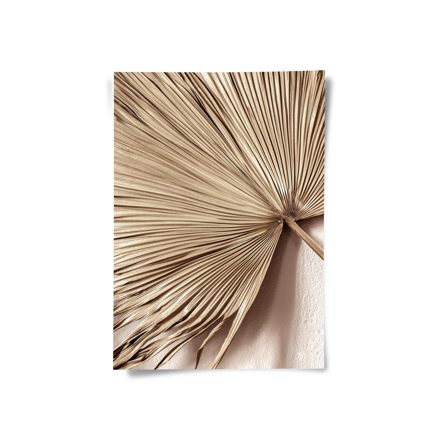 2Champagne Tropical Leaf - Poster