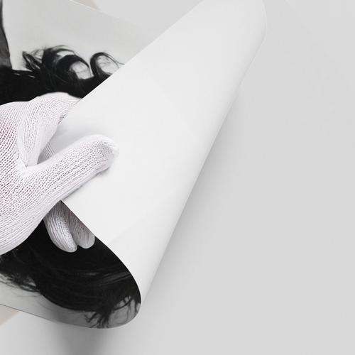 Che Guevara Iconic - Poster