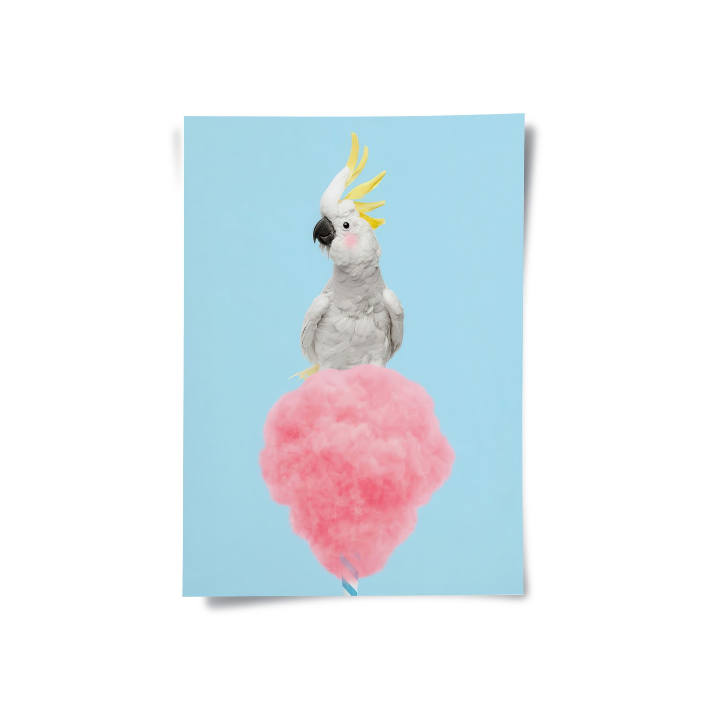 2Cockatoo Bird on Cotton Candy - Poster