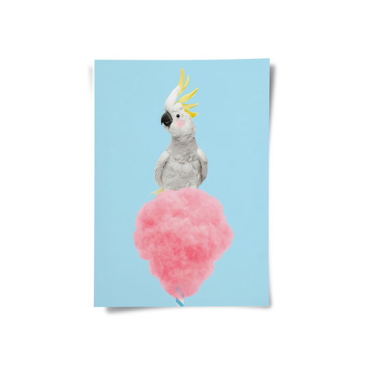Cockatoo Bird on Cotton Candy - Poster