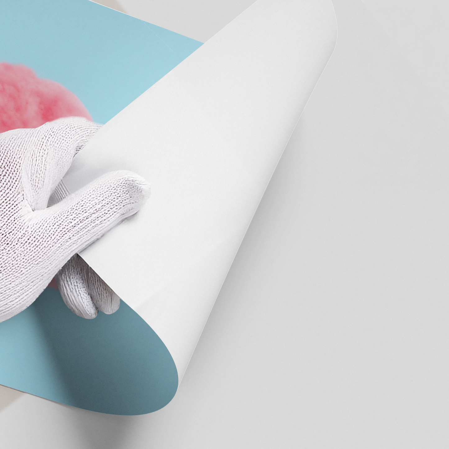 2Cockatoo Bird on Cotton Candy - Poster