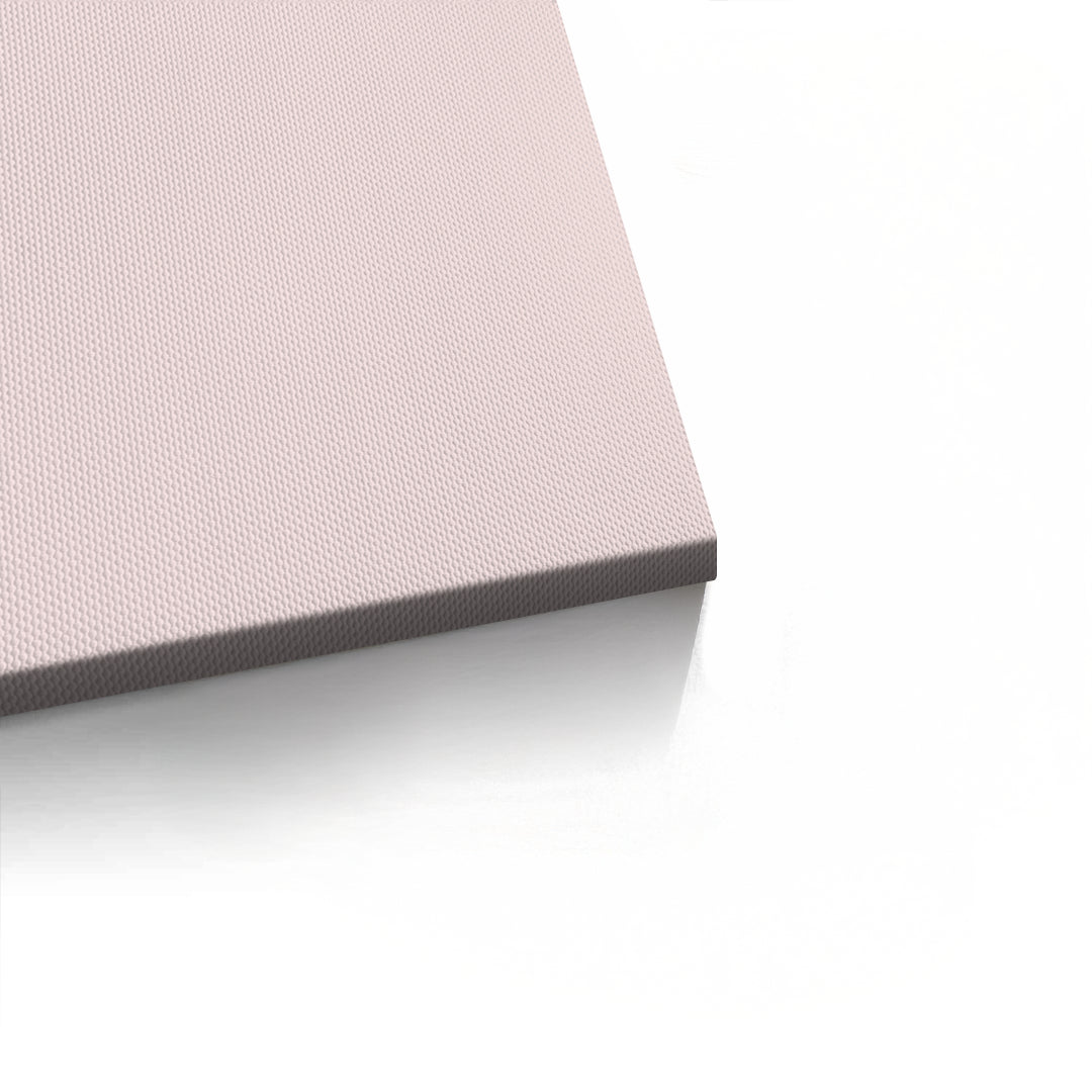 2Coco Pink - Canvas