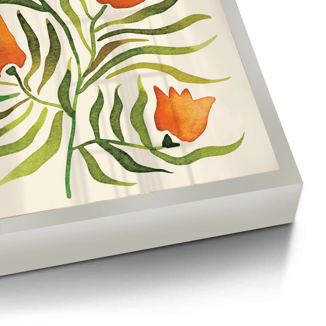 2Coral Tulip - Fine Art