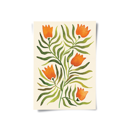 Coral Tulip - Poster
