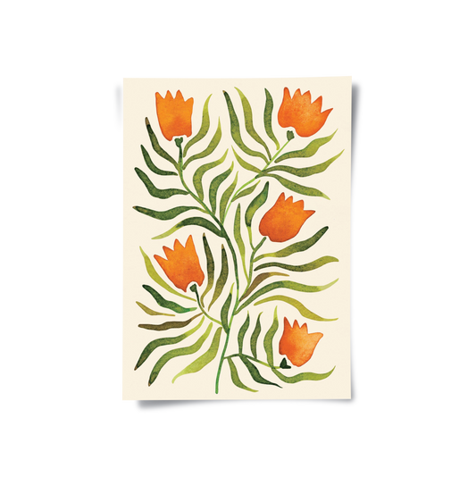 Coral Tulip - Poster