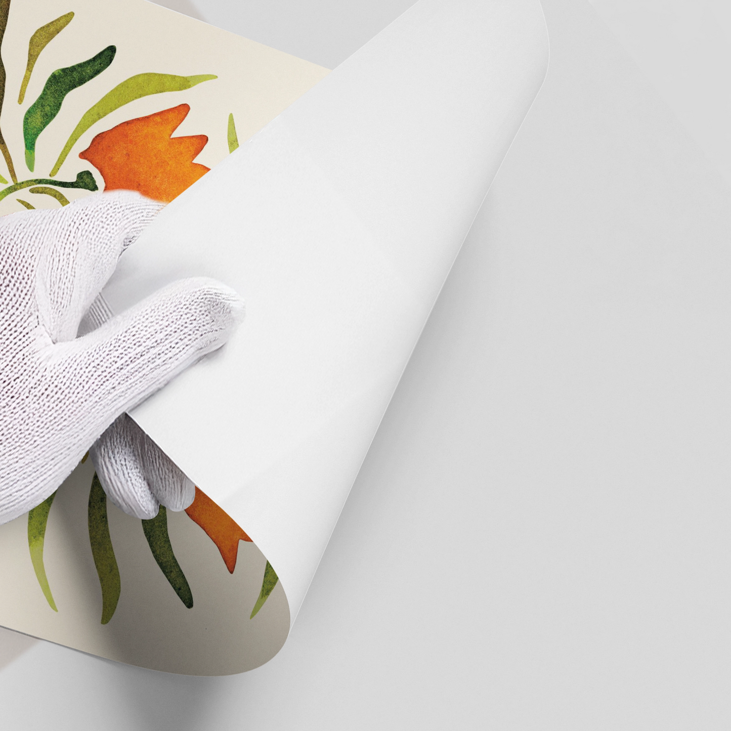 2Coral Tulip - Poster