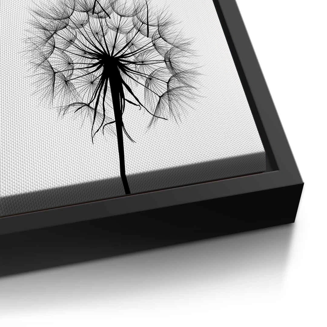 2Dandelion Fluff - Canvas