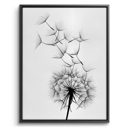 Dandelion Fluff - Canvas