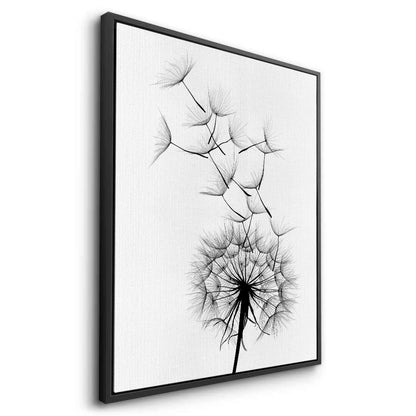 Dandelion Fluff - Canvas