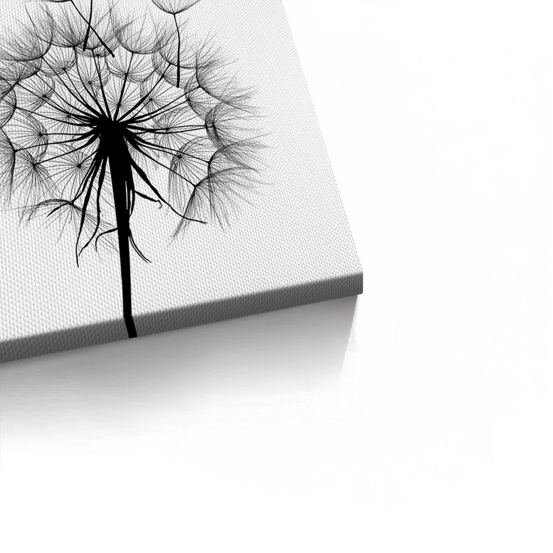 2Dandelion Fluff - Canvas
