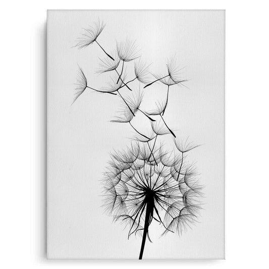 Dandelion Fluff - Canvas