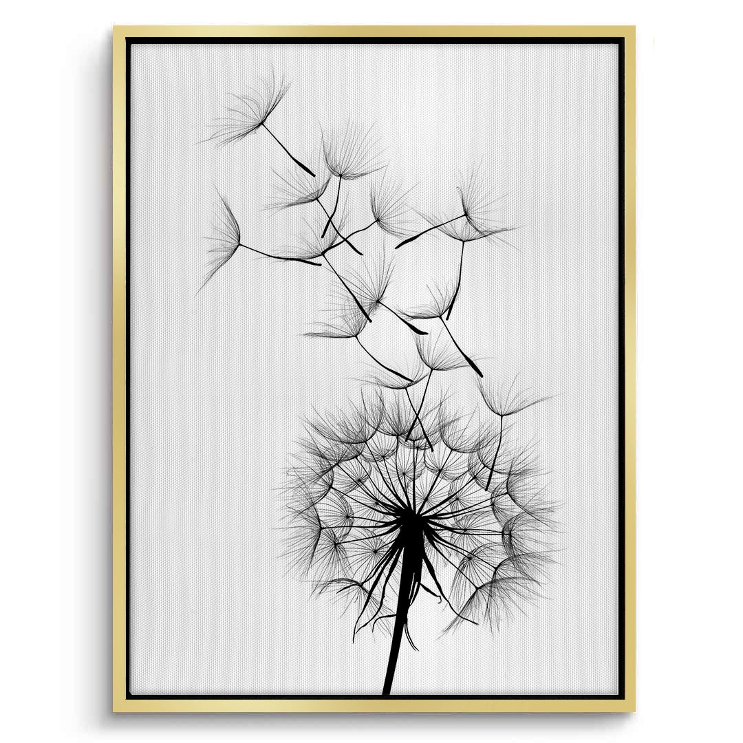 2Dandelion Fluff - Canvas