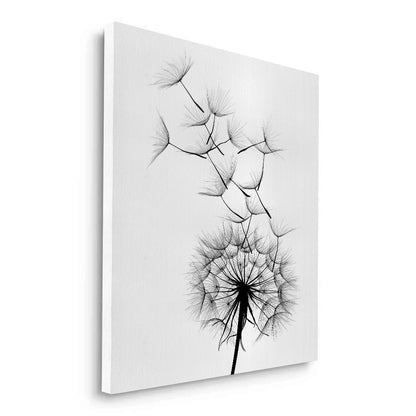 Dandelion Fluff - Canvas