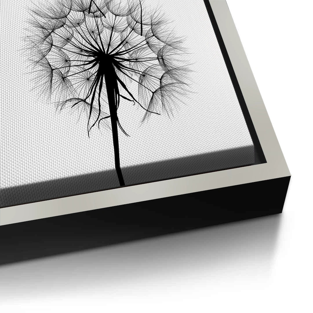 2Dandelion Fluff - Canvas