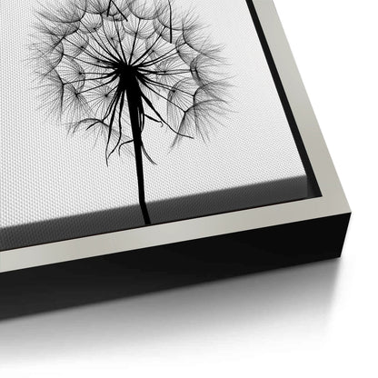 Dandelion Fluff - Canvas
