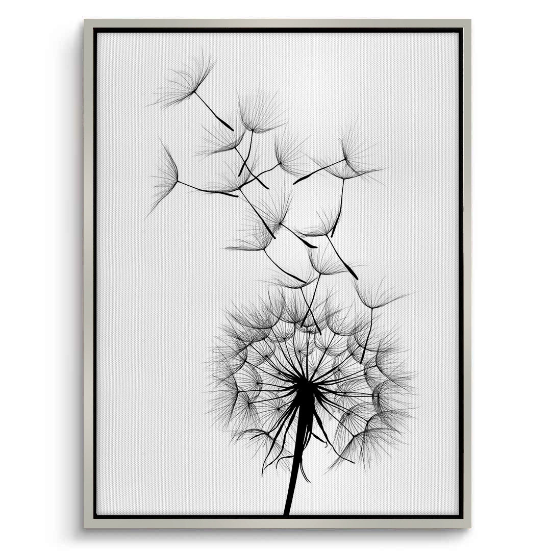 2Dandelion Fluff - Canvas